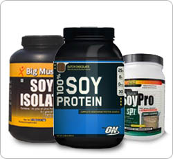 Soy protein